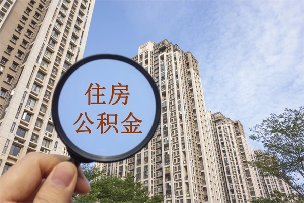 新泰公积金取（最新取住房公积金流程）